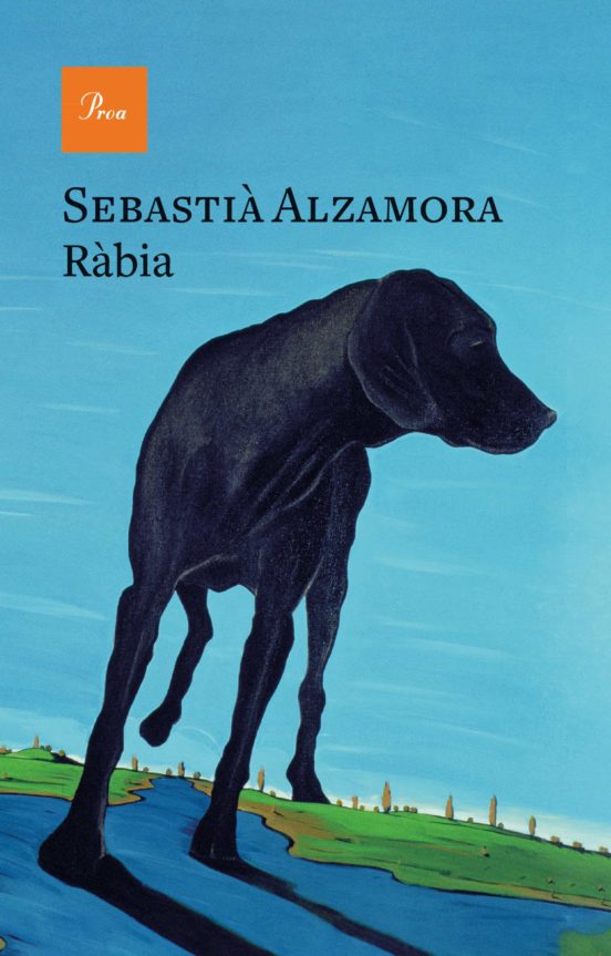 Imatge de la coberta del llibre Ràbia